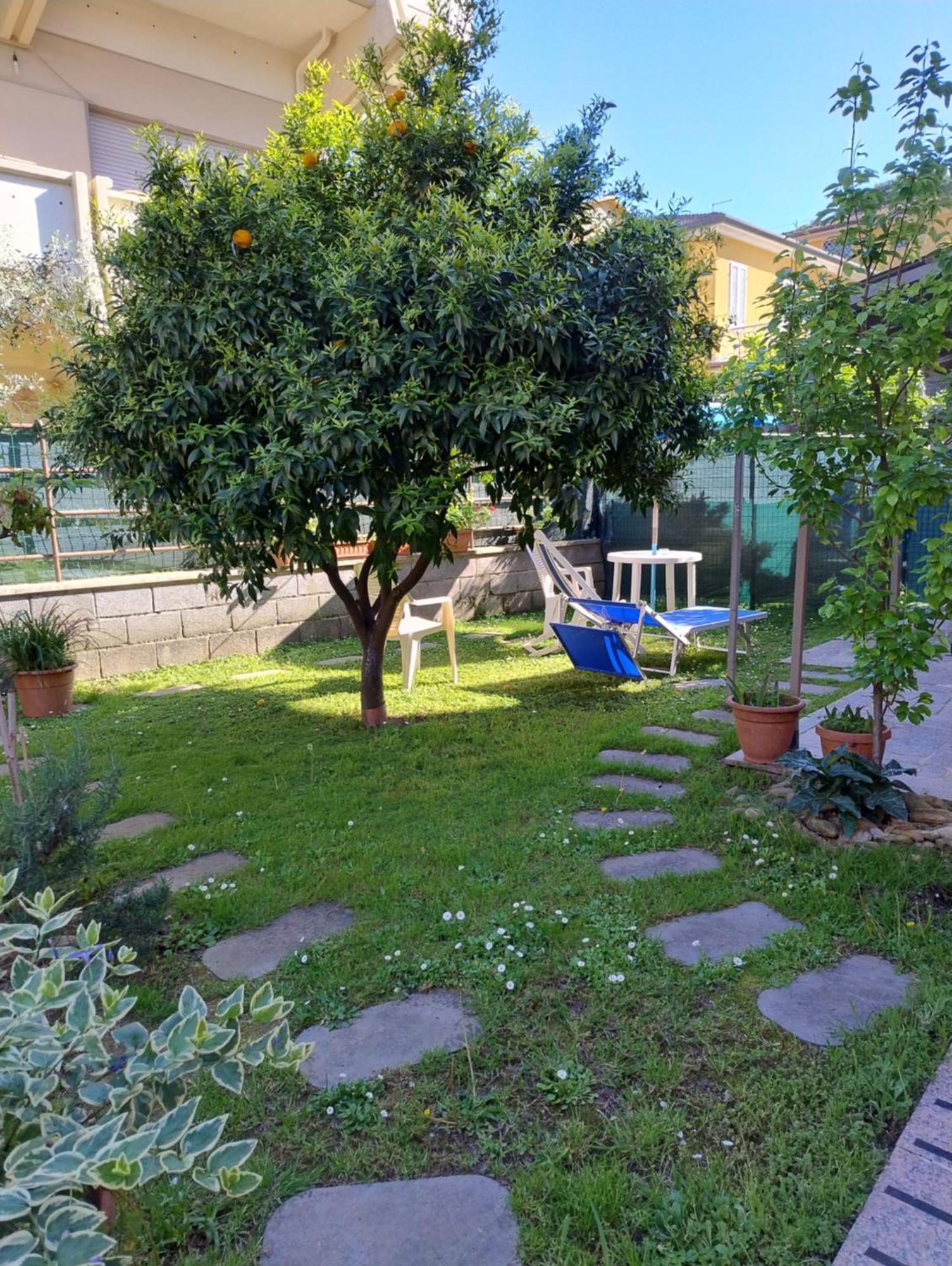 Bilocale Climatizzato A 850M Dalla Spiaggia Casa Katia มารีนา ดิ มาซซา ภายนอก รูปภาพ